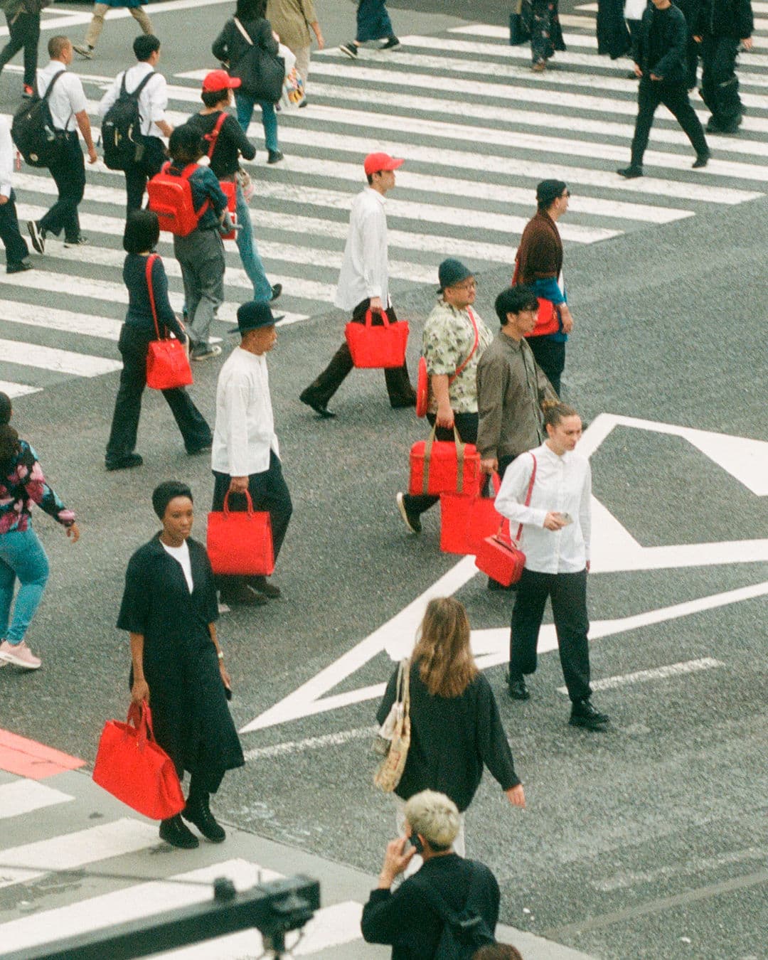 776e8ad4054b9f901dbdf75082d51448